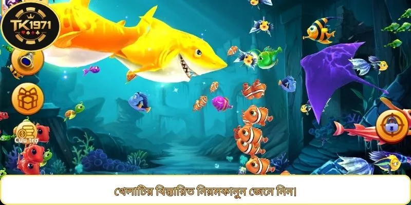 খেলাটির বিস্তারিত নিয়মকানুন জেনে নিন।