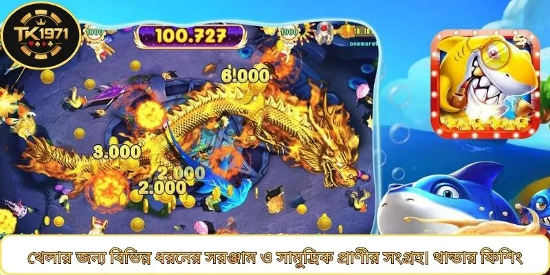 খেলার জন্য বিভিন্ন ধরনের সরঞ্জাম ও সামুদ্রিক প্রাণীর সংগ্রহ। থান্ডার ফিশিং